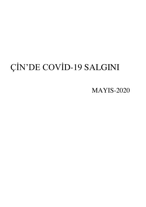 Çin Ülke Raporu
