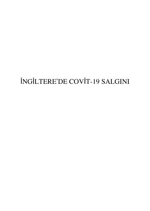 İngiltere Ülke Raporu