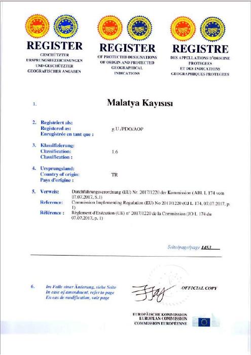 MALATYA KAYISISI ÇOĞRAFİ İŞARET TESCİL BELGESİ