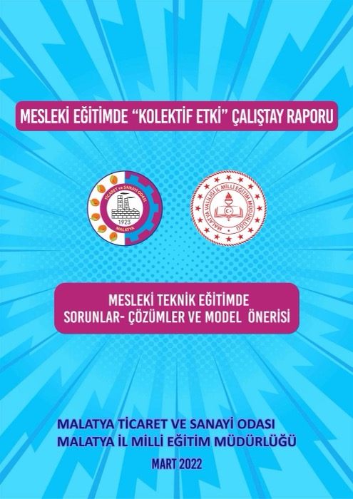 Mesleki Eğitimde Kolektif Etki Çalıştay Raporu