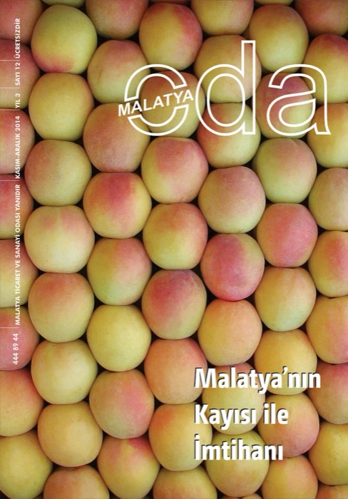 Oda Dergisi Sayı 12