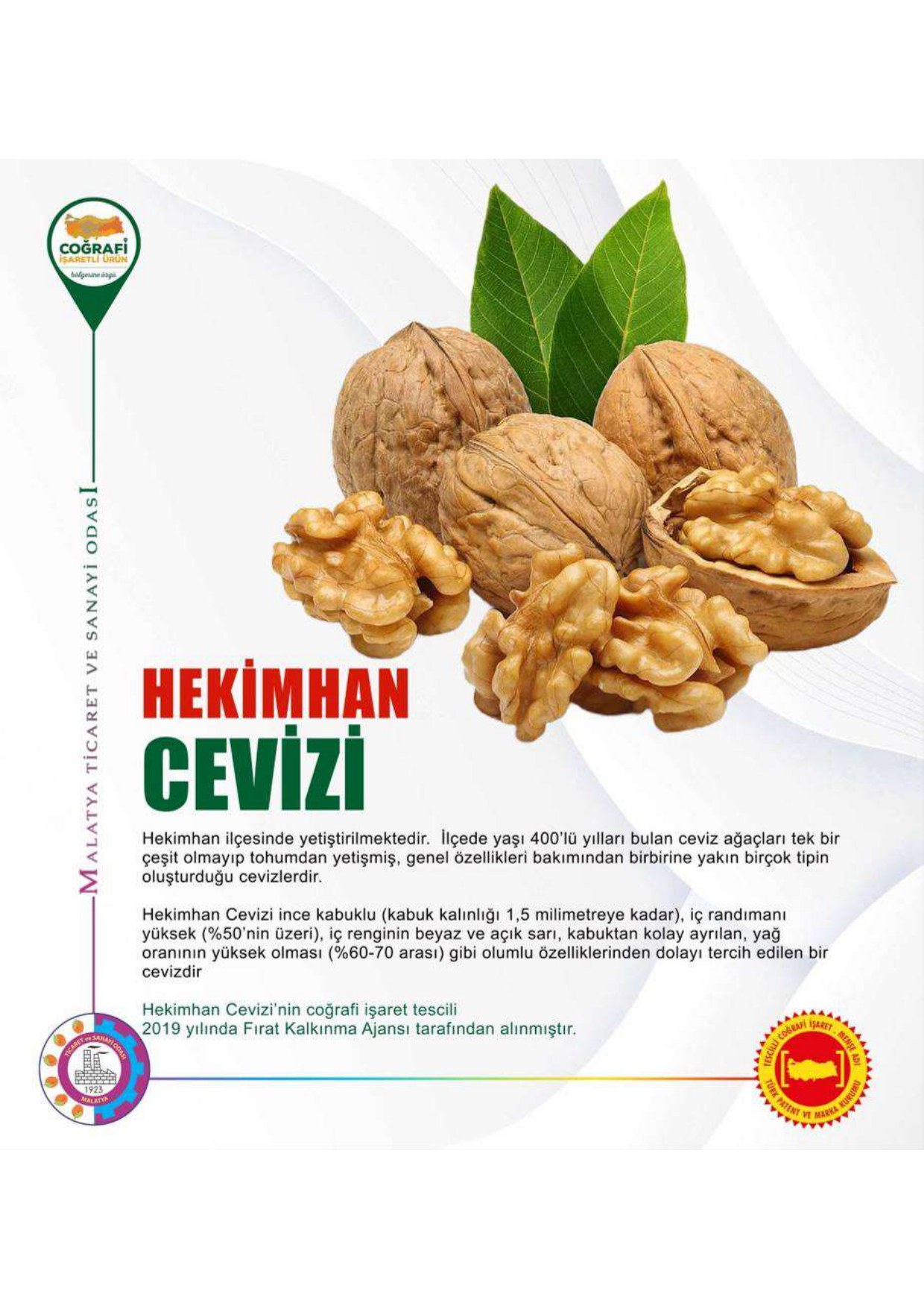 Hekimhan Cevizi coğrafi işaretli ürün afişi