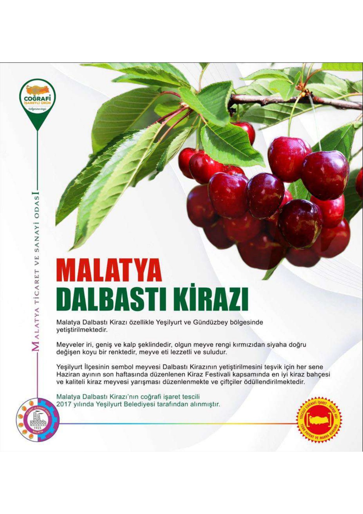 Malatya Dalbastı Kirazı coğrafi işaretli ürün afişi