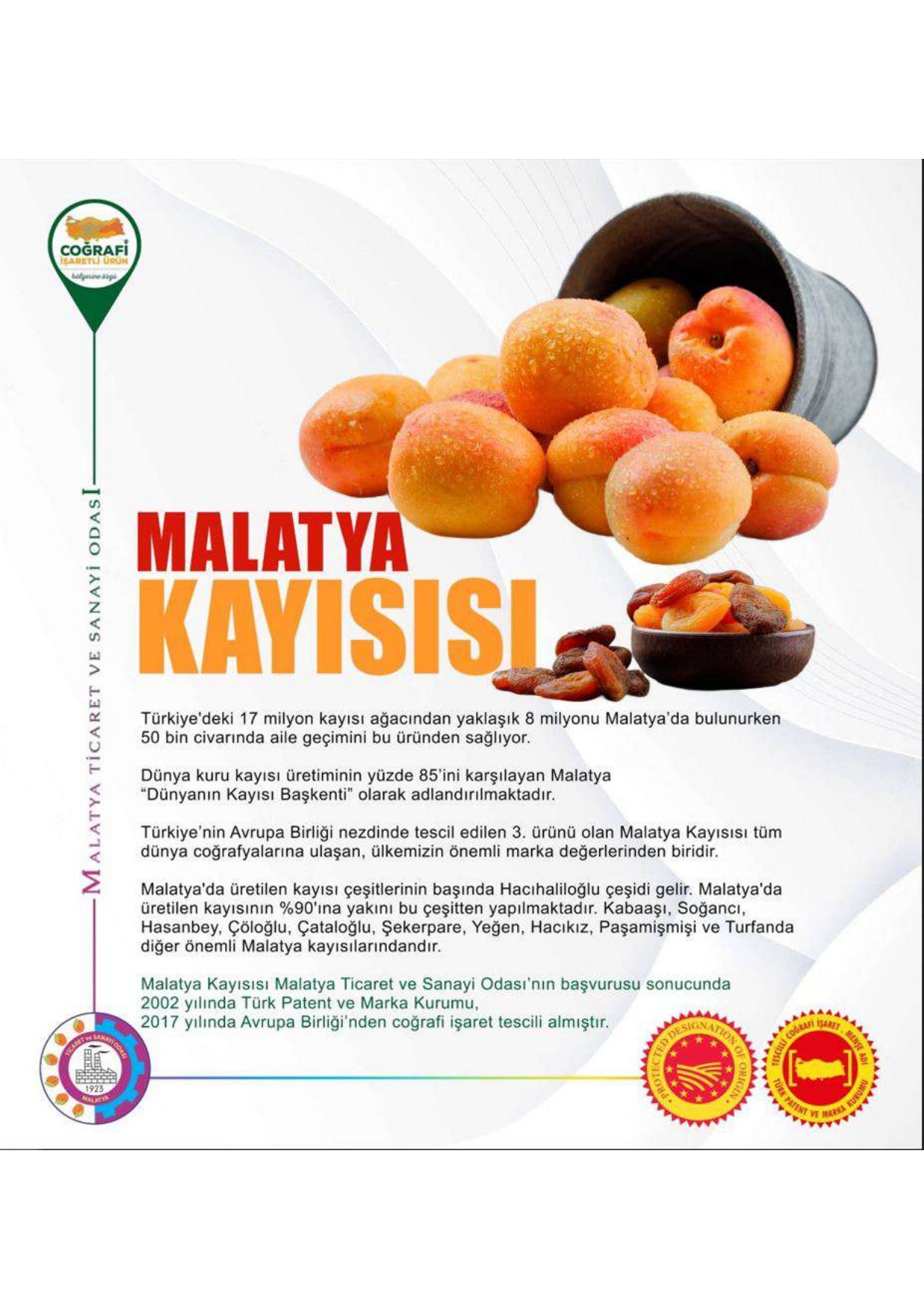 Malatya Kayısısı coğrafi işaretli ürün afişi